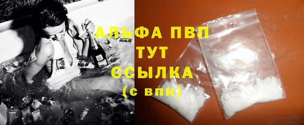 хмурый Дмитров