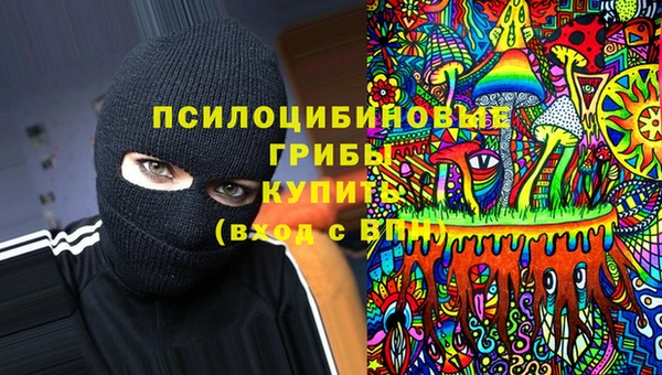 эйфоретик Гусь-Хрустальный