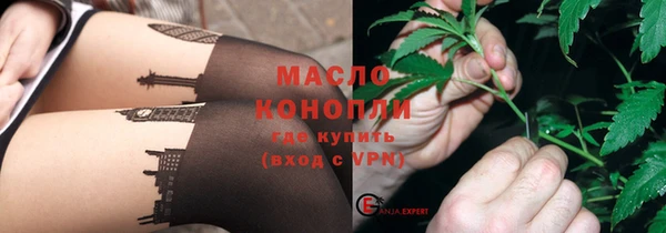хмурый Дмитров