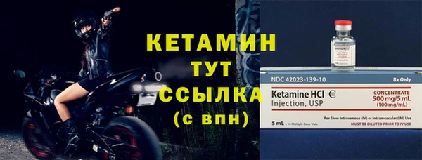 эйфоретик Гусь-Хрустальный