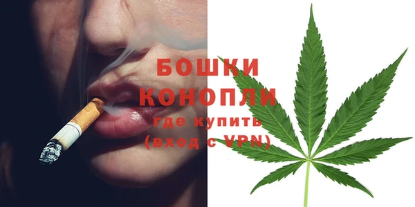 молекула духа Горняк