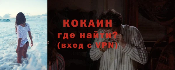 прущие крисы Гусев