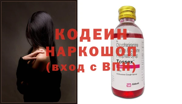 хмурый Дмитров
