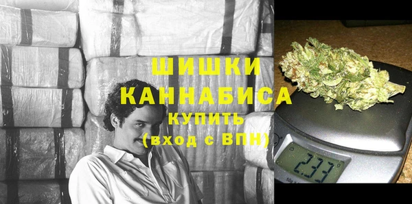 хмурый Дмитров