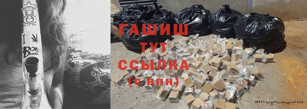 эйфоретик Гусь-Хрустальный