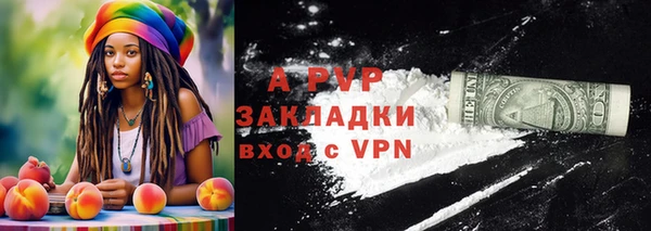 хмурый Дмитров