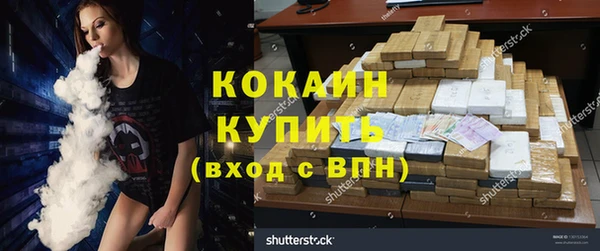 хмурый Дмитров